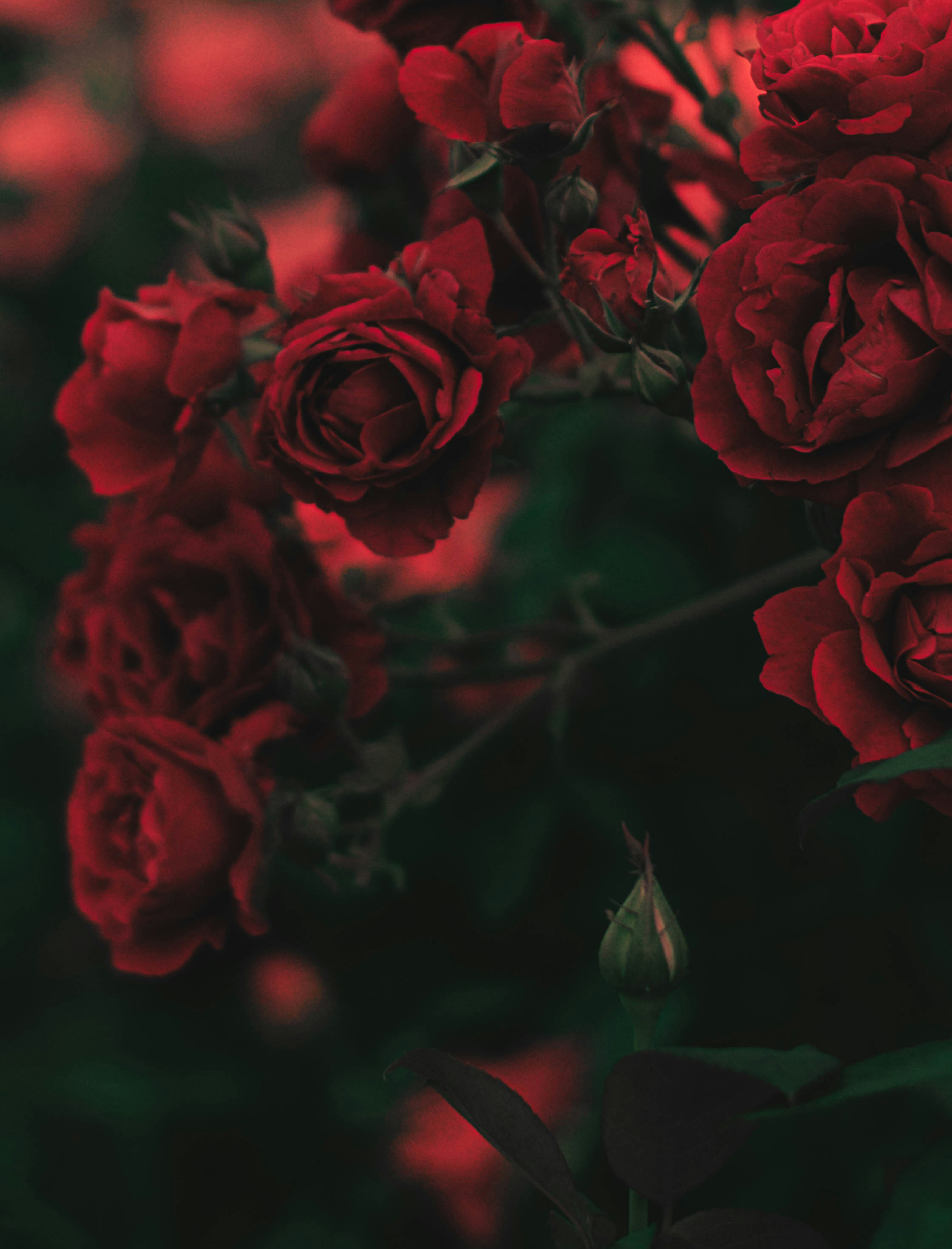 Gentle_Reminder_Image_2